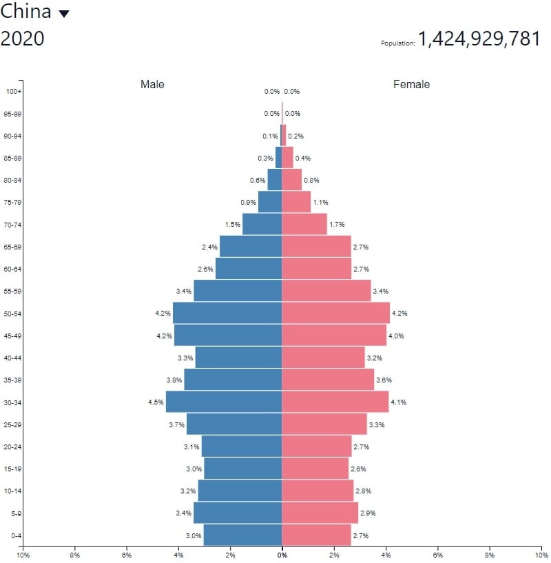 China's Population Pyramid - Population Pyramids of the World